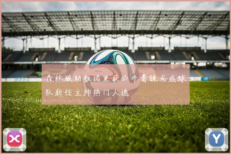 森林狼助教诺里获公牛青睐或成球队新任主帅热门人选