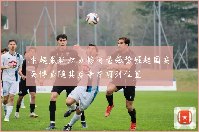 中超最新积分榜海港强势崛起国安英博紧随其后争夺前列位置