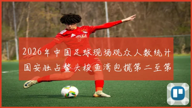 2026年中国足球现场观众人数统计国安独占鳌头梭鱼湾包揽第二至第七位