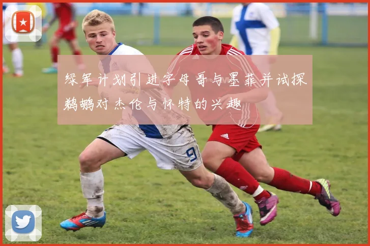 绿军计划引进字母哥与墨菲并试探鹈鹕对杰伦与怀特的兴趣